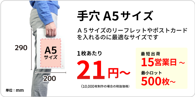 手穴 B5サイズの商品画像